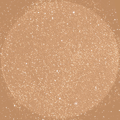 Sparkling Eyeshadow - sophisticated beauty by Janae