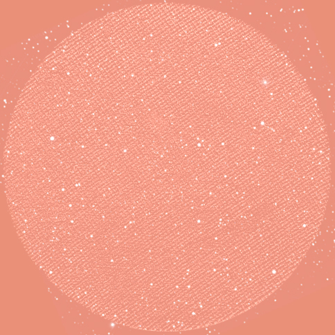 Sparkling Eyeshadow - sophisticated beauty by Janae